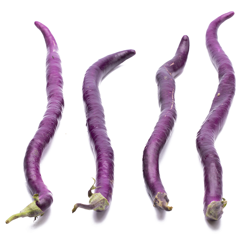 南方茄子 南方茄子