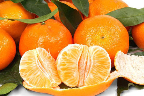 1567406936776981.jpg 砂糖橘.jpg