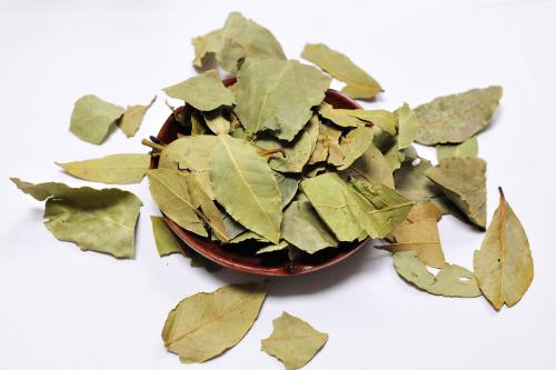 1567409157455276.jpg 香葉.jpg