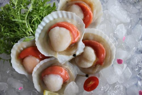 1567414608879827.jpg 夏夷貝.jpg