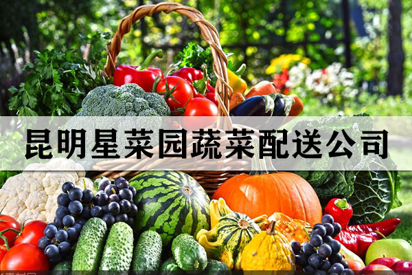 昆明星菜園蔬菜配送公司