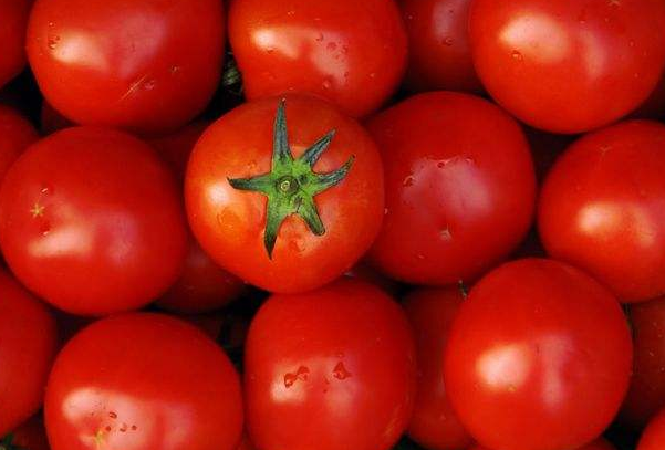 西紅柿的選購