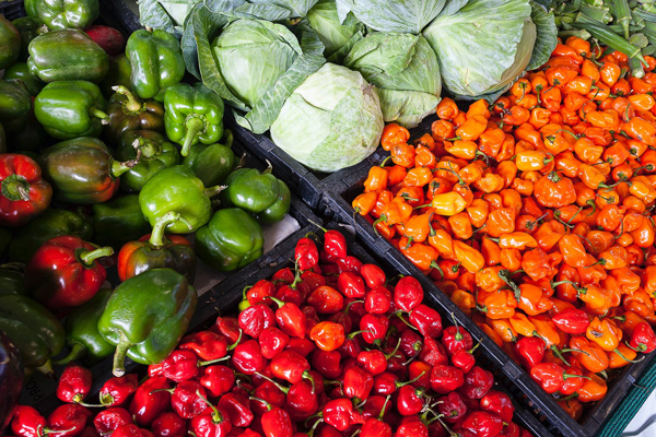 低熱量的蔬菜有哪些？