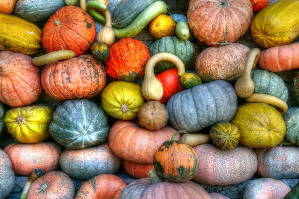 昆明生鮮配送公司哪家好？