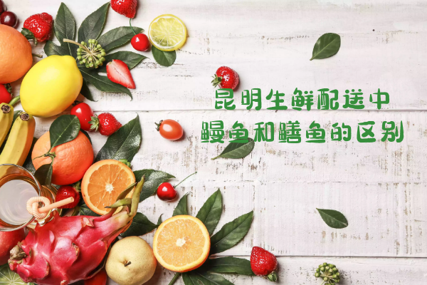 鰻魚(yú)和鱔魚(yú)的區別有哪些？