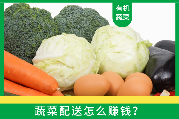 蔬菜配送怎么賺錢(qián)？