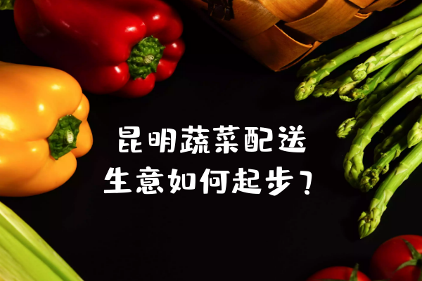 昆明蔬菜配送生意如何起步？