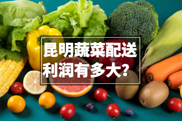 昆明蔬菜配送利潤有多大？
