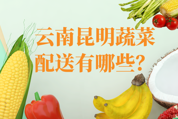 云南昆明蔬菜配送有哪些？