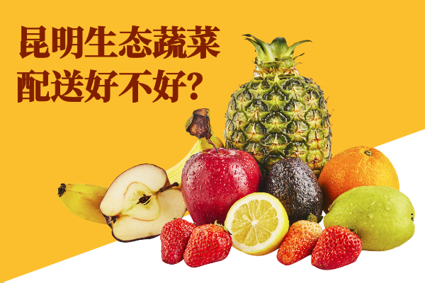 昆明生態(tài)蔬菜配送好不好？