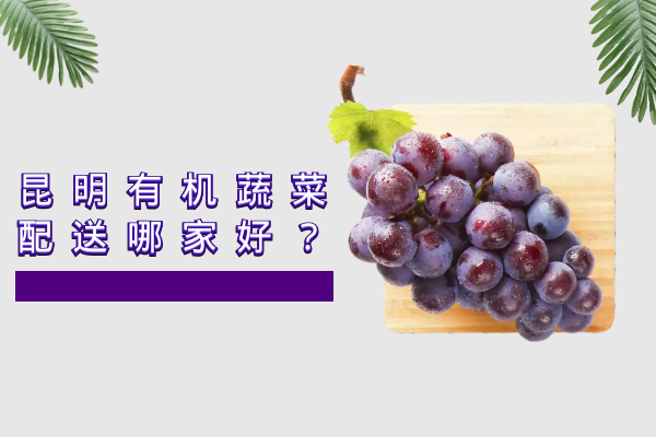昆明有機蔬菜配送哪家好？