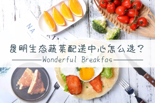 昆明生態(tài)蔬菜配送中心怎么選？