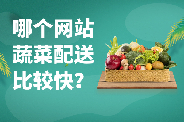 哪個(gè)網(wǎng)站蔬菜配送比較快？