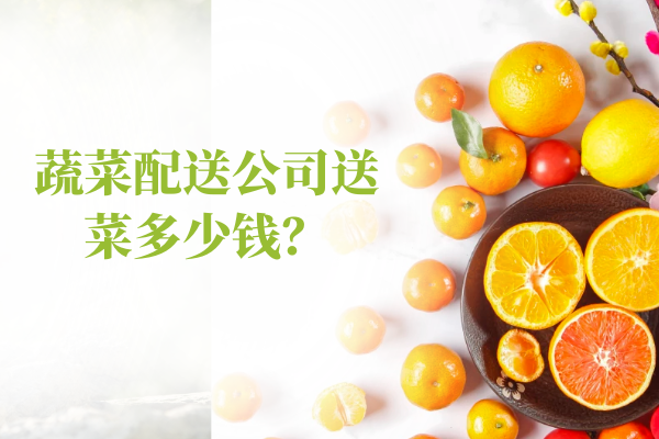 蔬菜配送公司送菜多少錢(qián)？