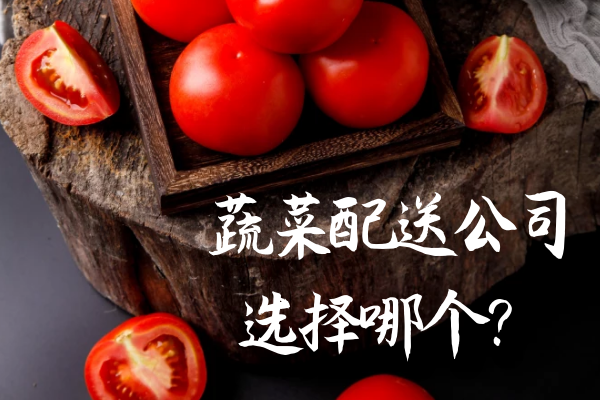 蔬菜配送公司選擇哪個(gè)？