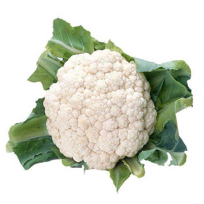 食材配送方案及保障措施